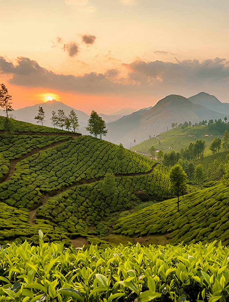 Best of Kerala