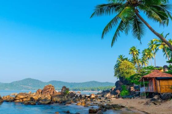 Andaman 7N/8D Package