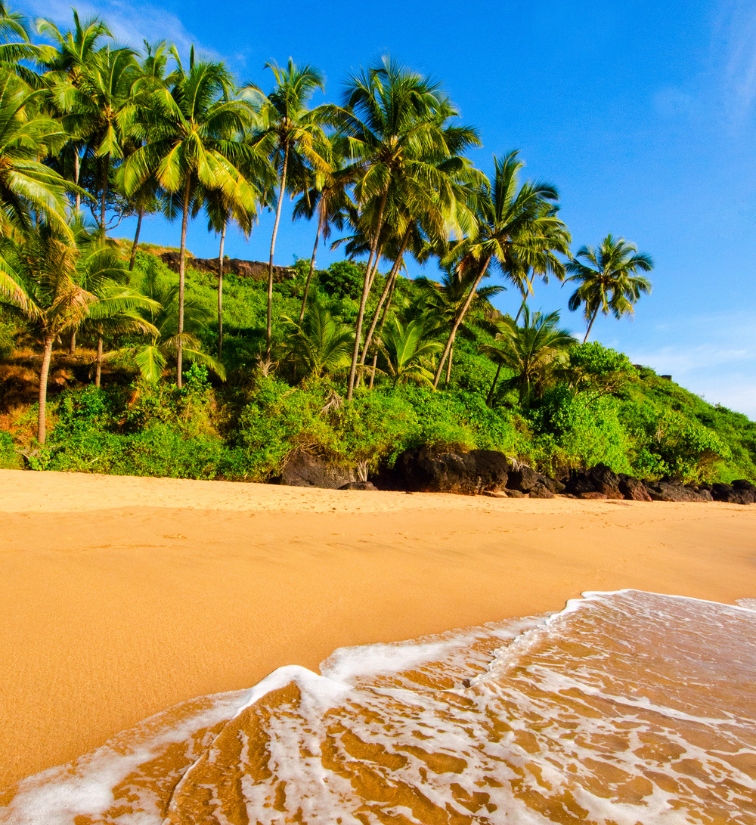 Goa Tour Package
