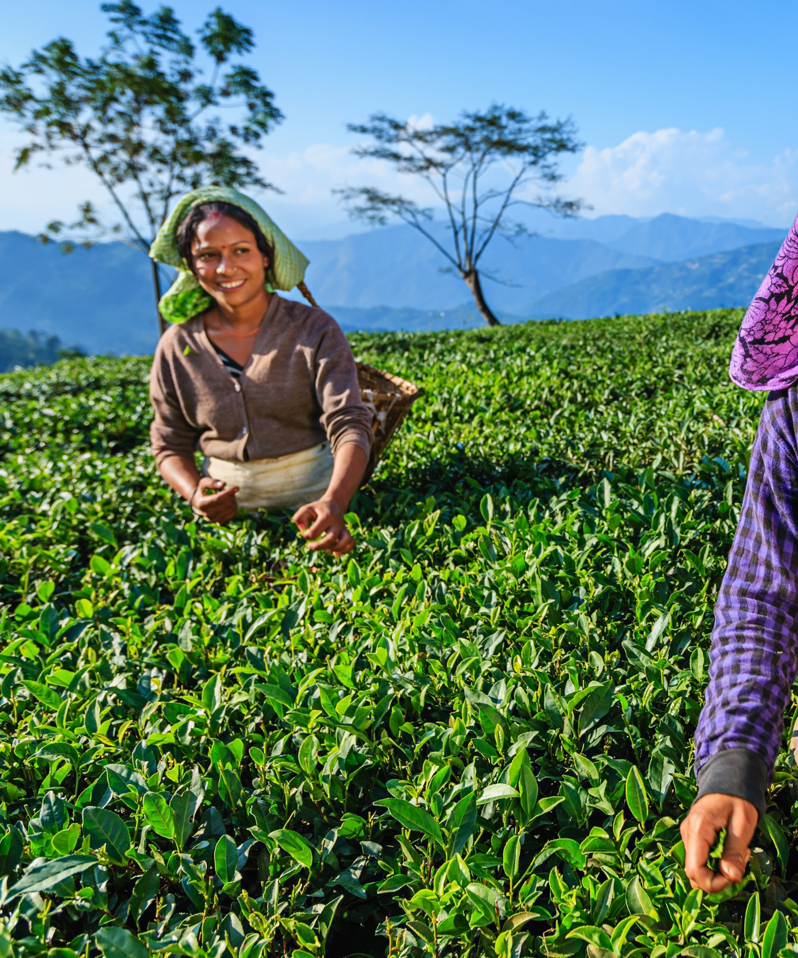 North East India Tour Package