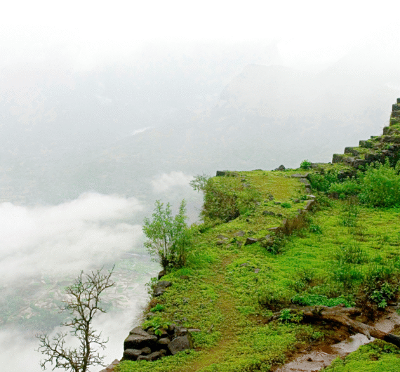 Mahabaleshwar Tour Packages