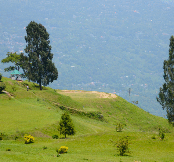 Pelling to Darjeeling