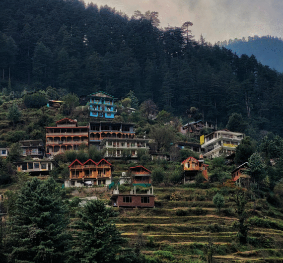 Glimpses of Himachal (6N / 7D)