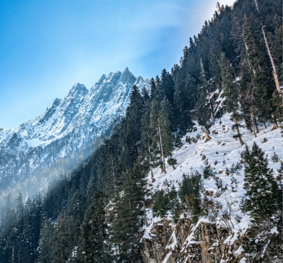 Kashmir Tour Packages