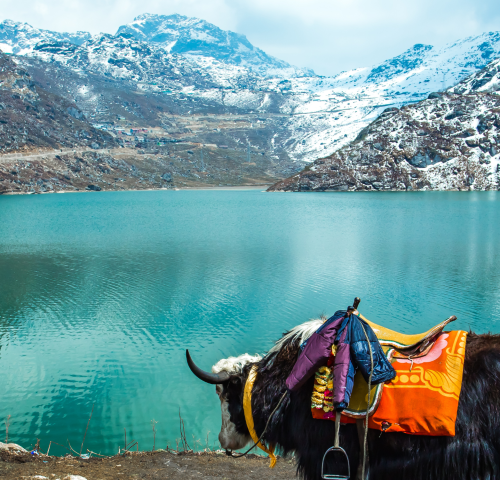 Gangtok sightseeing And Gangtok to Darjeeling